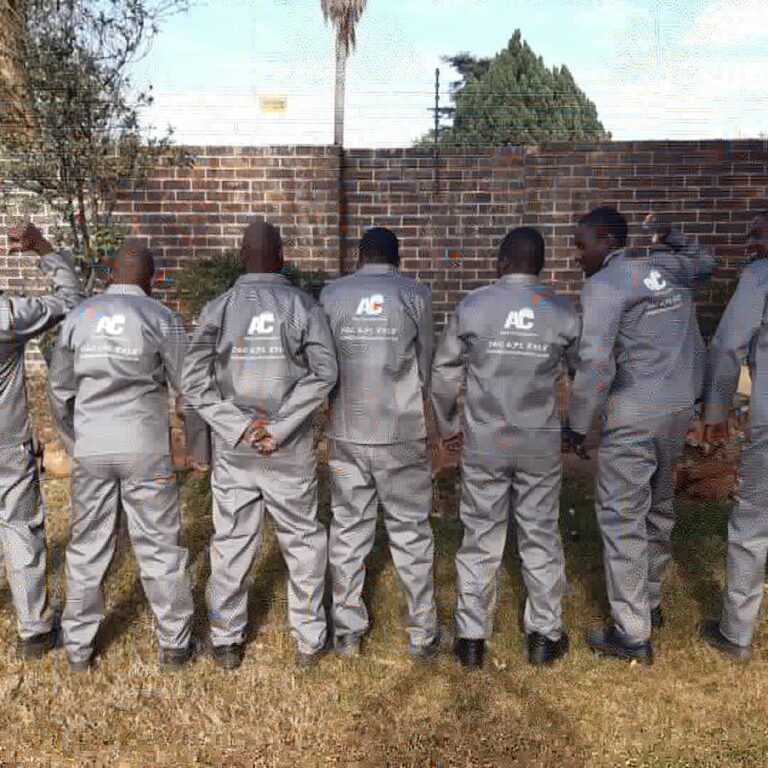 WhatsApp Image 2020-11-02 at 15.37.48 (1)